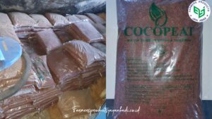 Coco Peat: Media Tanam Ramah Lingkungan yang Semakin Diminati Petani Modern