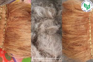 Cocofiber (Sabut Kelapa): Potensi, Manfaat dan Peluang Bisnis