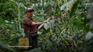 Komoditas Pertanian Indonesia yang Banyak Diminati Pasar Ekspor