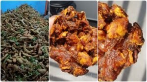 Tamarind (Asam Jawa): Potensi, Manfaat dan Tantangan dalam Budidaya